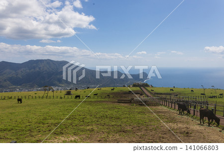 八丈富士山中部山坡上建有寵物動物園 八丈富士山中部山坡上建有寵物動物園 141066803
