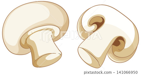 Vector Illustration of Fresh White Button Mushrooms on White Background Vector Illustration of Fresh White Button Mushrooms on White Background 141066950