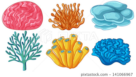 Collection of Colorful Coral Reef Species Vector Illustration Set Collection of Colorful Coral Reef Species Vector Illustration Set 141066967
