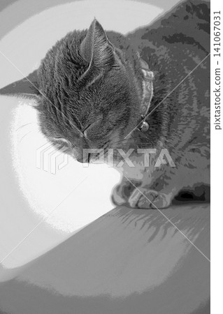 sketch style cat cat cat kijitora gray female female female cat female cat healthy pretty healing sketch style cat cat cat kijitora gray female female female cat female cat healthy pretty healing 141067031