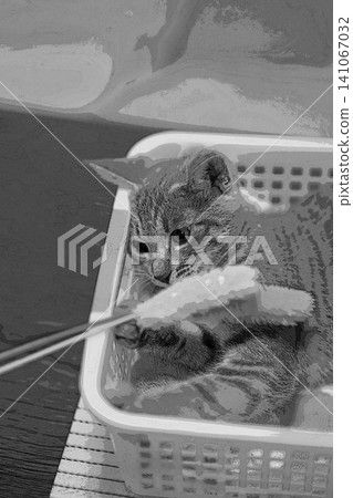 sketch style cat cat cat kijitora gray female female female cat female cat healthy pretty healing 141067032