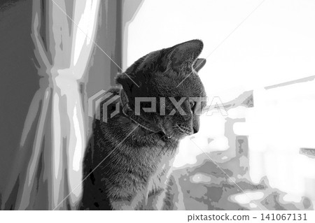 sketch style cat cat cat kijitora gray female female female cat female cat healthy pretty healing sketch style cat cat cat kijitora gray female female female cat female cat healthy pretty healing 141067131