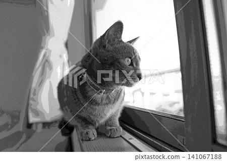 sketch style cat cat cat kijitora gray female female female cat female cat healthy pretty healing sketch style cat cat cat kijitora gray female female female cat female cat healthy pretty healing 141067188