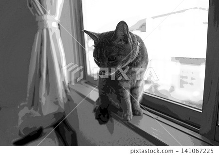 sketch style cat cat cat kijitora gray female female female cat female cat healthy pretty healing 141067225