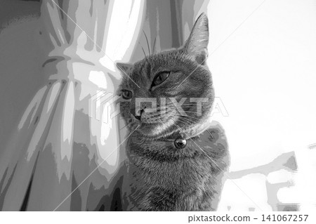 素描 風格 貓 貓 貓 kijitora 灰色 女 女 母貓 母貓 健康 漂亮 癒合 素描 風格 貓 貓 貓 kijitora 灰色 女 女 母貓 母貓 健康 漂亮 癒合 141067257