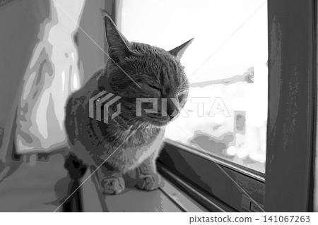 sketch style cat cat cat kijitora gray female female female cat female cat healthy pretty healing sketch style cat cat cat kijitora gray female female female cat female cat healthy pretty healing 141067263