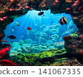 水族館的岩石拱門之外，展現出一幅奇幻的水下景觀和熱帶魚群。 141067335