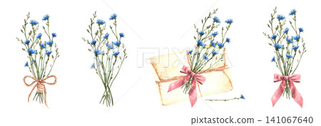 Blue chicory bouquets tied with twine or pink ribbon bows, with vintage envelope. Hand painted watercolor isolated on white background illustration for greeting card, wedding invitations, floral print Blue chicory bouquets tied with twine or pink ribbon bows, with vintage envelope. Hand painted watercolor isolated on white background illustration for greeting card, wedding invitations, floral print 141067640