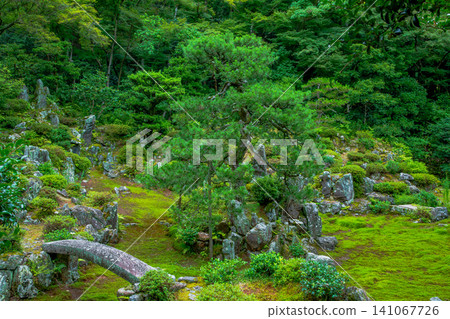 滋賀縣米原市青巖寺庭園 滋賀縣米原市青巖寺庭園 141067726