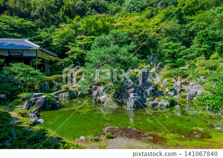 滋賀縣米原市青巖寺庭園:雨後出現的池塘庭園。 滋賀縣米原市青巖寺庭園:雨後出現的池塘庭園。 141067840