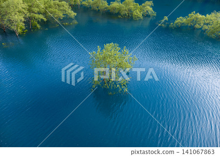 A fantastical submerged forest spreading across Lake Akiogi in Akita Prefecture A fantastical submerged forest spreading across Lake Akiogi in Akita Prefecture 141067863