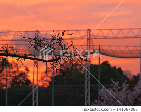 Sky of sunset Sky of sunset 141067865