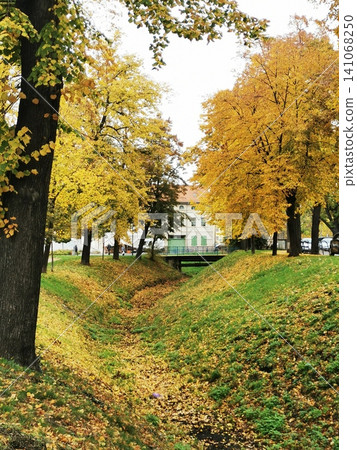 Bright golden autumn: a stream surrounded by yellow trees and green grass 141068250