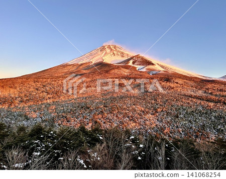 富士山染上清晨的色彩 富士山染上清晨的色彩 141068254