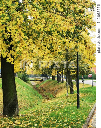 Bright golden autumn: a stream surrounded by yellow trees and green grass Bright golden autumn: a stream surrounded by yellow trees and green grass 141068256