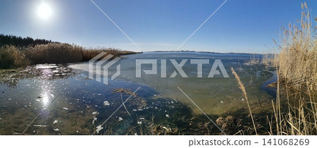 A bright sunny day over a freezing pond with tall withered grass A bright sunny day over a freezing pond with tall withered grass 141068269