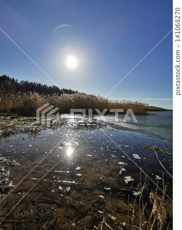 A bright sunny day over a freezing pond with tall withered grass A bright sunny day over a freezing pond with tall withered grass 141068270
