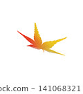 透明背景上的紅色和黃色漸層秋葉 141068321