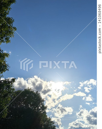 The early summer blue sky and the sunlight filtering through the lush green leaves The early summer blue sky and the sunlight filtering through the lush green leaves 141068496