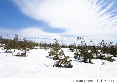 Akita Hachimantai: Mountain trails still covered in snow Akita Hachimantai: Mountain trails still covered in snow 141069243