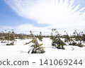 秋田八幡平：山間小徑仍被積雪覆蓋 141069244
