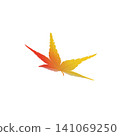 一片美麗的秋葉，顏色由橙色漸變為黃色，與白色背景形成鮮明對比。 141069250