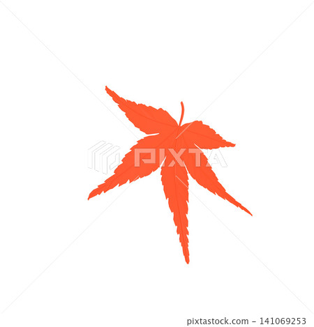 一片美麗的、鮮明的紅色楓葉,秋色斑斕,與白色背景形成鮮明對比。 一片美麗的、鮮明的紅色楓葉,秋色斑斕,與白色背景形成鮮明對比。 141069253