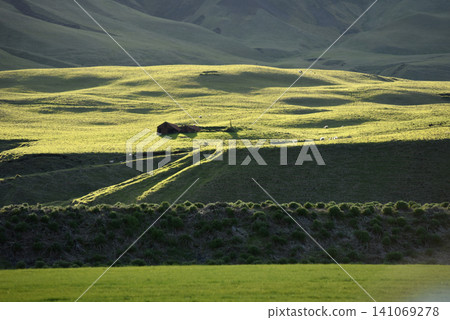 Old abandoned house in the green rolling hills of Iceland Old abandoned house in the green rolling hills of Iceland 141069278