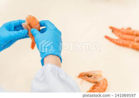 A food factory staff member peels shrimp and prepares them (food hygiene, food processing). A food factory staff member peels shrimp and prepares them (food hygiene, food processing). 141069597