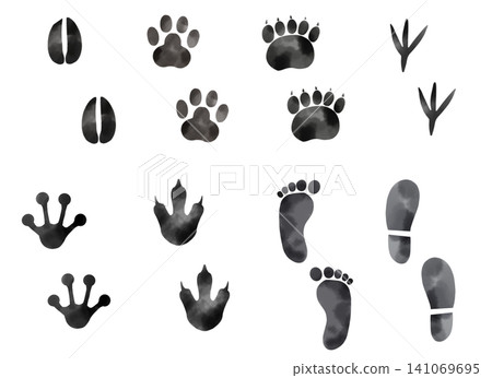 A set of footprints: monochrome watercolor-style illustrations of footprints from dogs, cats, birds, frogs, barefoot footprints, bears, dinosaurs, and deer. A set of footprints: monochrome watercolor-style illustrations of footprints from dogs, cats, birds, frogs, barefoot footprints, bears, dinosaurs, and deer. 141069695