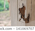 A close-up of a wooden structure damaged by termites, showing destroyed wood texture and cracked peeling paint. Concept for pest control, home inspection, and building maintenance. 141069707