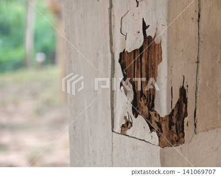 A close-up of a wooden structure damaged by termites, showing destroyed wood texture and cracked peeling paint. Concept for pest control, home inspection, and building maintenance. A close-up of a wooden structure damaged by termites, showing destroyed wood texture and cracked peeling paint. Concept for pest control, home inspection, and building maintenance. 141069707