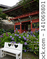 Deva and hydrangea 141069801