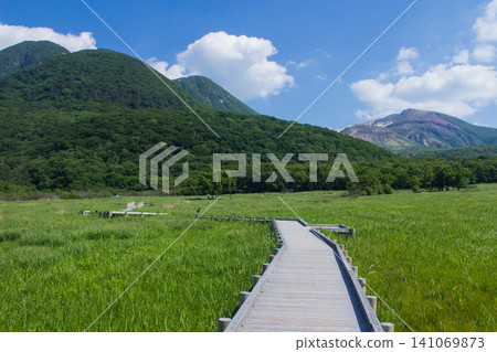 Fresh green Chojabaru Tadewara Marsh and Kuju mountain range Fresh green Chojabaru Tadewara Marsh and Kuju mountain range 141069873