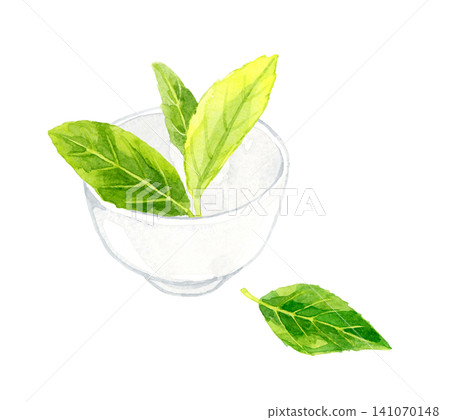 茶杯和綠茶葉 - 手繪水彩插畫素材 茶杯和綠茶葉 - 手繪水彩插畫素材 141070148