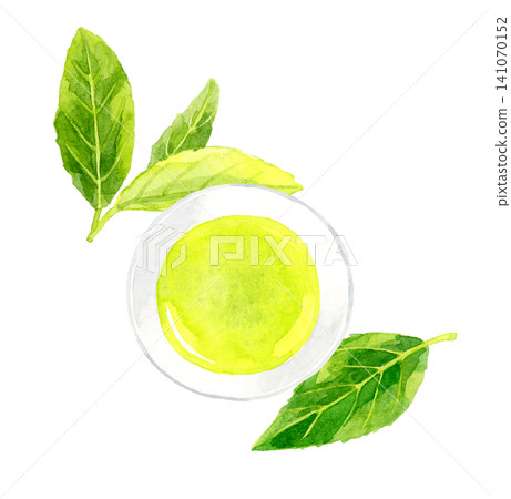 Green tea and tea leaves viewed from directly above - Hand-drawn watercolor illustration material Green tea and tea leaves viewed from directly above - Hand-drawn watercolor illustration material 141070152