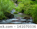 Fresh greenery and clear streams 141070336