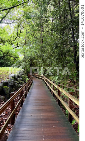 A walking path surrounded by fresh greenery on a rainy day. A walking path surrounded by fresh greenery on a rainy day. 141070601