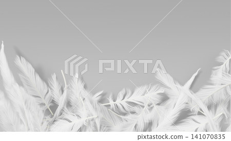 White feather border on gray 3d background. Render realistic light wing plumage of bird, duck or heaven angel. Soft delicate frame with airy downy texture, elegant modern banner. 3D illustration 141070835