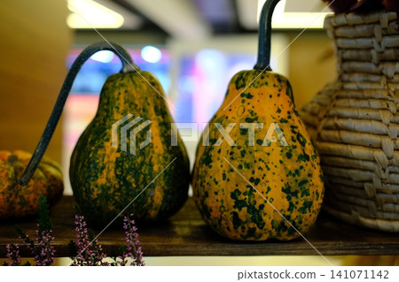 Two speckled gourds sit next to each other on a shelf Two speckled gourds sit next to each other on a shelf 141071142
