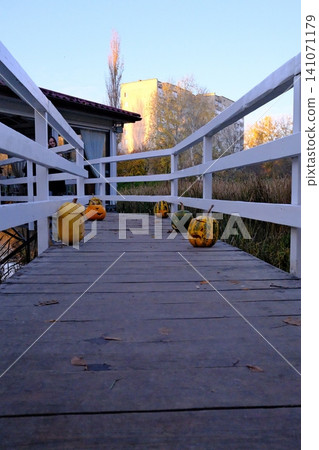 Wooden boardwalk decorated with festive carved pumpkins Wooden boardwalk decorated with festive carved pumpkins 141071179