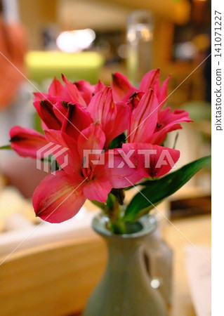 A vibrant bunch of pink Alstroemeria flowers arranged in a small grey vase A vibrant bunch of pink Alstroemeria flowers arranged in a small grey vase 141071227