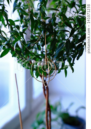 Golden wire & pearl decor hangs on a leafy indoor plant by a window Golden wire & pearl decor hangs on a leafy indoor plant by a window 141071238
