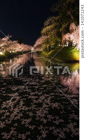 Hirosaki Cherry Blossom Festival: Nighttime cherry blossom illumination and flower rafts floating on the moat. Hirosaki Cherry Blossom Festival: Nighttime cherry blossom illumination and flower rafts floating on the moat. 141071243