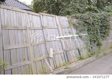 A weathered wooden fence is leaning with vegetation growing on it A weathered wooden fence is leaning with vegetation growing on it 141071277
