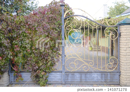 A decorative, golden gate opens to a house; Virginia creeper grows on the gate A decorative, golden gate opens to a house; Virginia creeper grows on the gate 141071278
