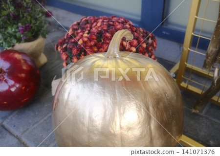 Shiny golden pumpkin sitting outdoors with Fall decorations Shiny golden pumpkin sitting outdoors with Fall decorations 141071376