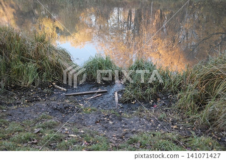 Muddy ground covered with green and brown grass lines a peaceful water body 141071427