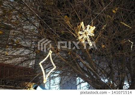 Bright snowflake and rhombus lights hang on a bare tree, glowing warmly against the dark night 141071514
