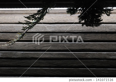 A frosty juniper branch dangles against a dark wooden plank wall A frosty juniper branch dangles against a dark wooden plank wall 141071516
